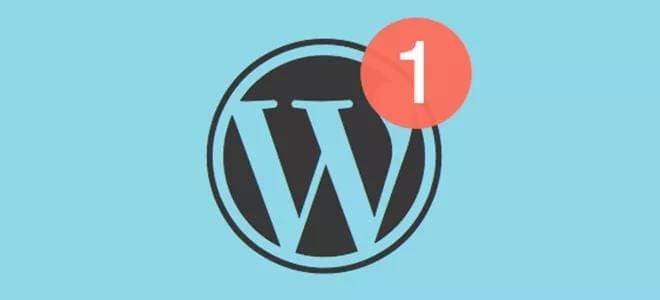 Notifications push web sur WordPress : captez l’attention de vos visiteurs